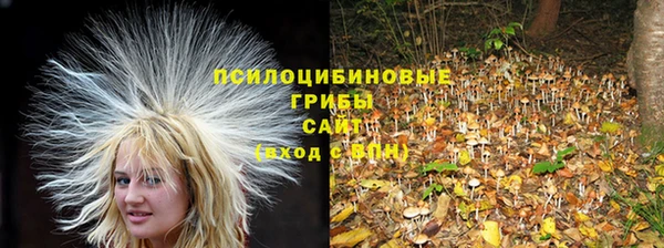 ПСИЛОЦИБИНОВЫЕ ГРИБЫ Абдулино