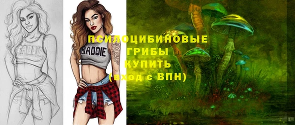 круглые Рославль
