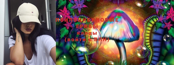 ПСИЛОЦИБИНОВЫЕ ГРИБЫ Абдулино