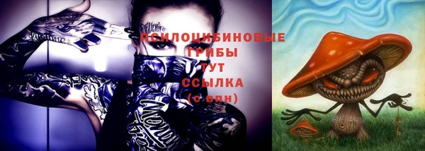 ПСИЛОЦИБИНОВЫЕ ГРИБЫ Абинск