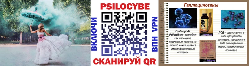 где купить наркоту  kraken зеркало  Псилоцибиновые грибы мухоморы  Советск 